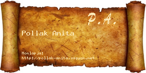 Pollak Anita névjegykártya
